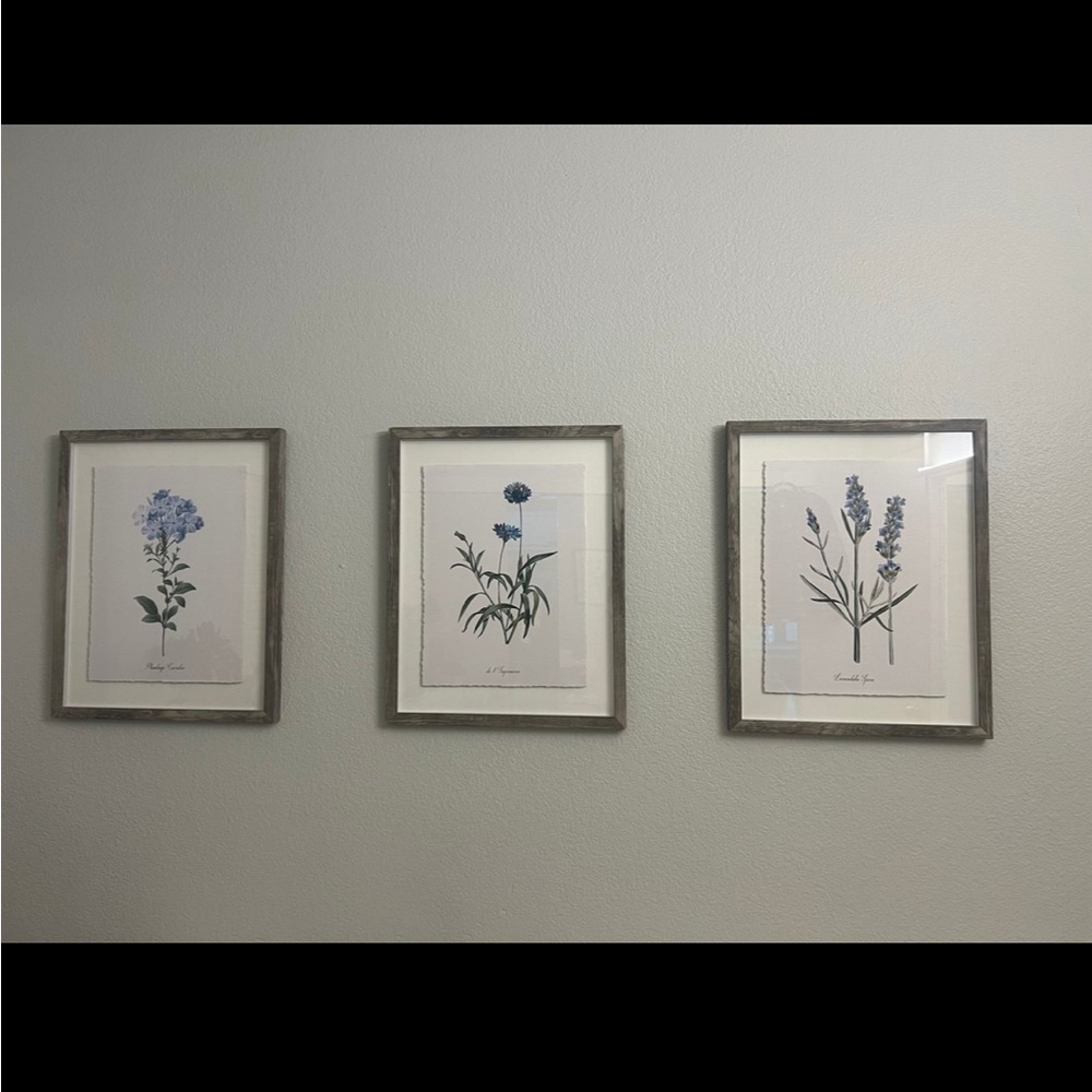 (Set of 3) 16"x20" Framed Vintage Botanicals Decorative Wall Art Threshold